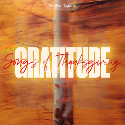 3000x3000_GRATITUDE_26.jpg