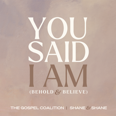 You Said I Am (Behold and Believe) - Shane and Shane Lyrics and Chords
