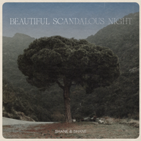 Beautiful Scandalous Night