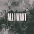 All I Want