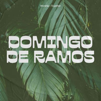 Domingo De Ramos