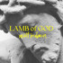 King Of Calvary