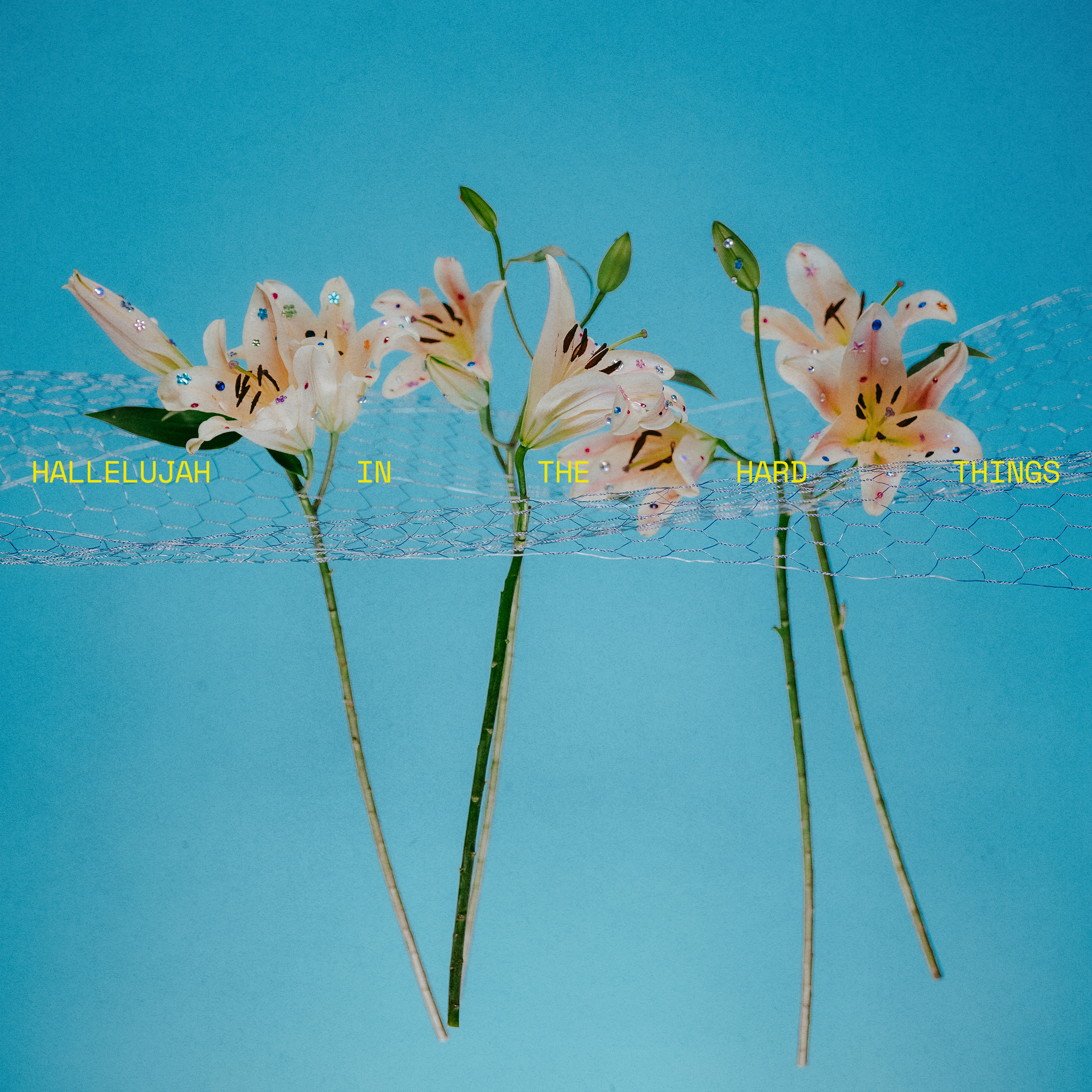 Hallelujah In The Hard Things