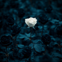 Dying To Be Different