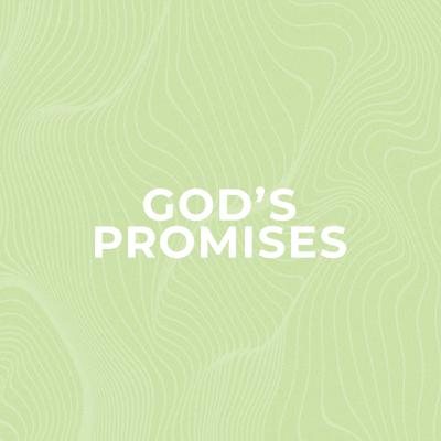 Worship Together Setlists Collections Song Ideas And New Releases chorus g for i know your thoughts your plans for me are good em7 and i know you hold my future and my hope c g your promises never fail c d your promises never fail. worship together setlists