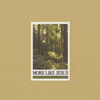 More Like Jesus